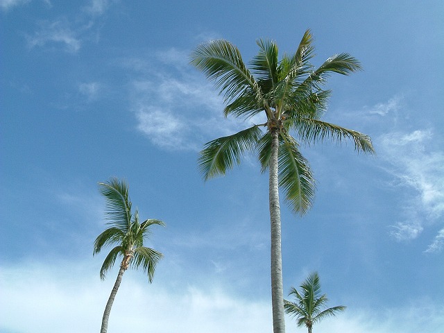 e0145739_23524419.jpg