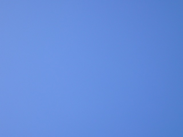 e0145739_2353132.jpg