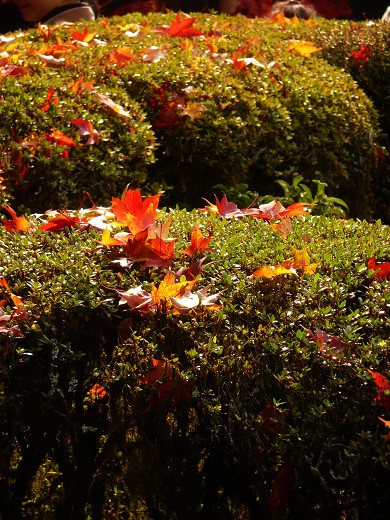 c0057946_22183640.jpg
