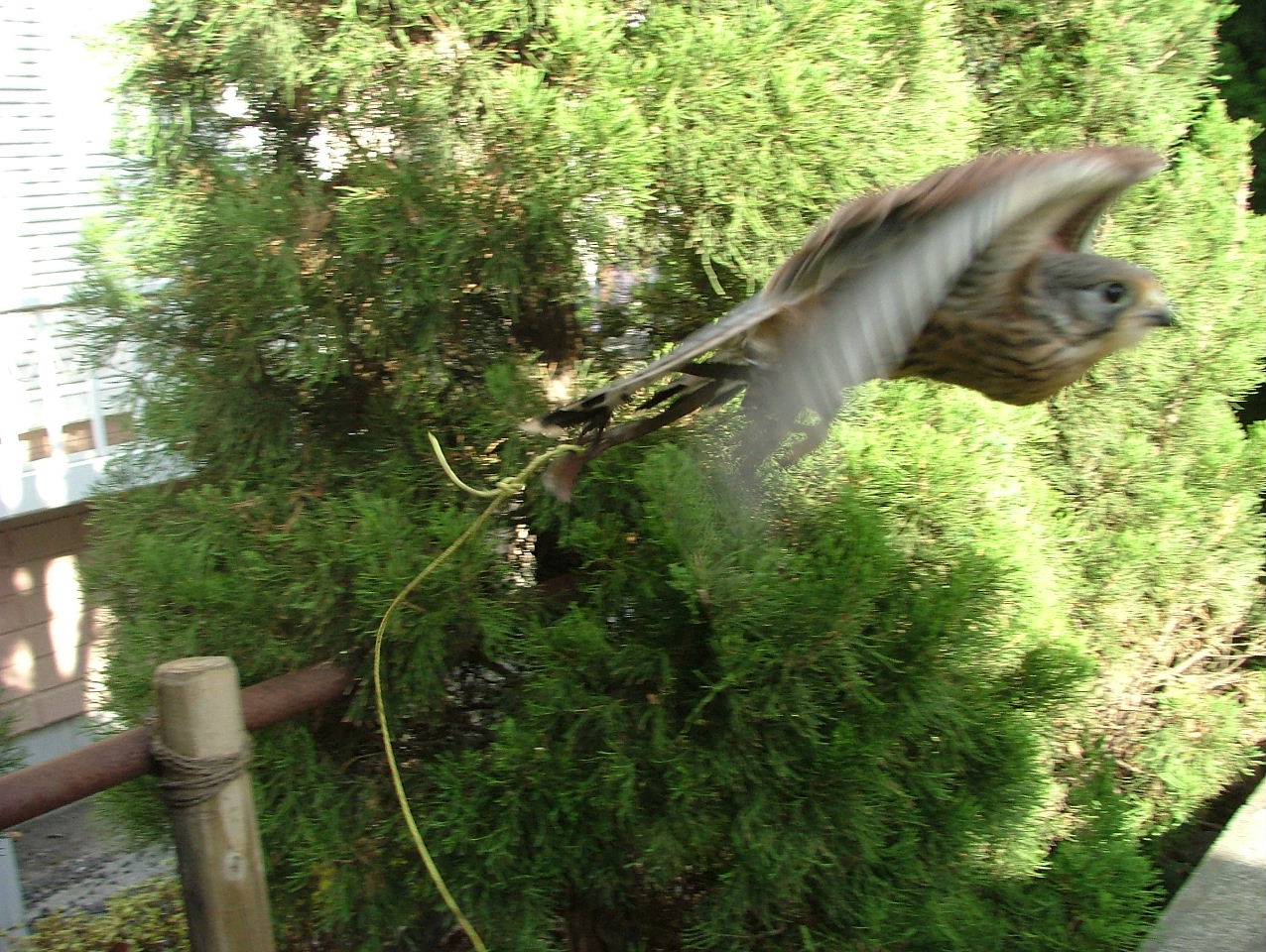 c0132048_8133043.jpg