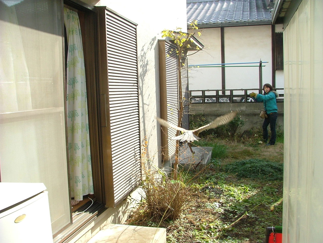 c0132048_8142822.jpg