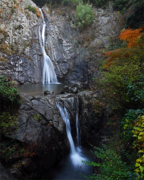 兵庫県　布引の滝～森林植物園～再度山_e0035757_17132516.jpg