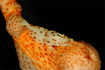 2008/12/14 Sun._e0158261_6271110.jpg