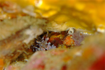 2008/12/14 Sun._e0158261_6353054.jpg