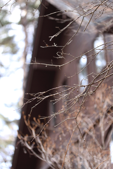 f0107364_11433660.gif