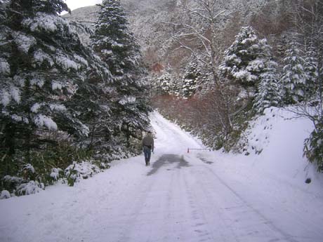 久しぶりの降雪_f0153164_2133217.jpg