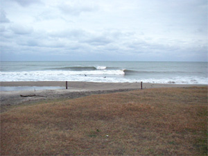 c0144467_2364695.jpg