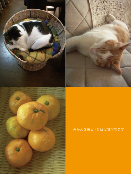 なんだかんだで充実_e0158970_16293640.jpg