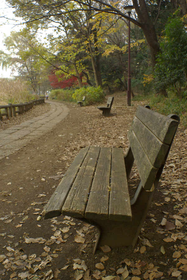 Super Takumar 20mm F4.5 レンズフィルター付き L799