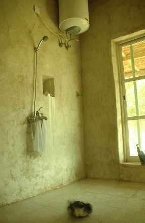 e0066474_1114831.jpg