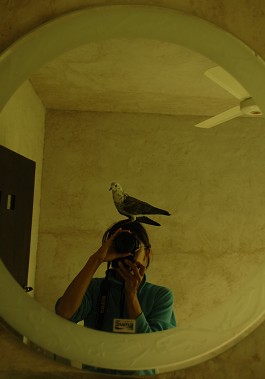 e0066474_113041.jpg