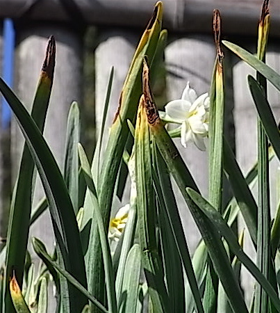 a0061977_22786.jpg