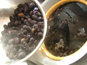b0119979_176545.jpg