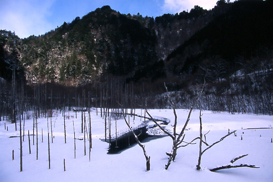 e0165983_18261757.jpg