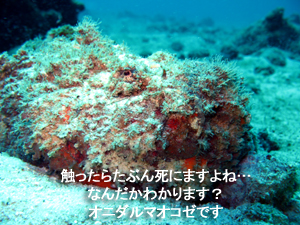 ライセンスゲット! おめでとう!_f0144385_18135414.jpg