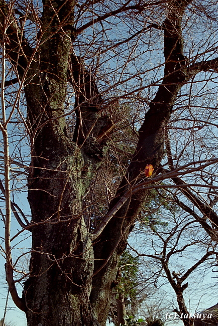 f0139991_224057.jpg