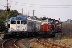 b0114392_11265.jpg