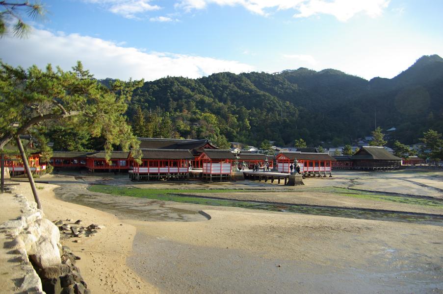 b0092194_23314.jpg