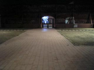 d0138899_189249.jpg