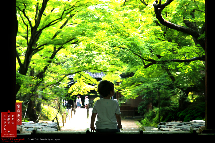 京都シルヴプレ　147　　　常寂光寺　下巻　（京都メーター付）_f0038408_6134538.jpg