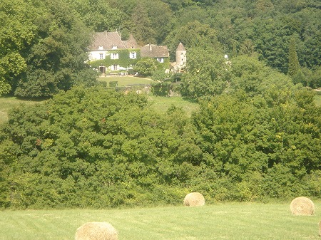 e0049409_1581923.jpg