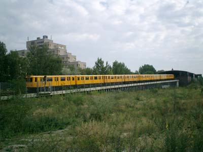 e0038811_20422894.jpg