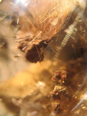 e0139012_11461861.jpg