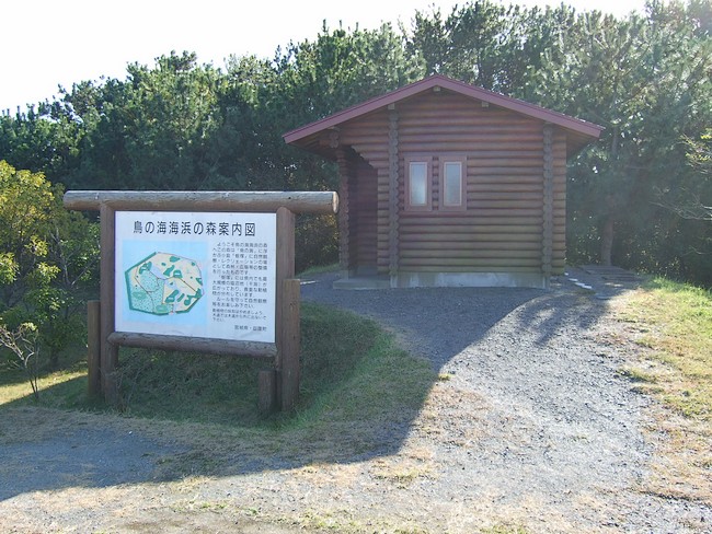 f0143119_19494248.jpg