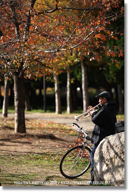 晩秋の長居公園　＃７_c0136524_20461621.jpg