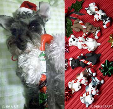 ◆『Doggie Xmas MKT.\'08』スライドショウと「All About」の取材記事＆伝からのご挨拶_b0017736_83382.jpg