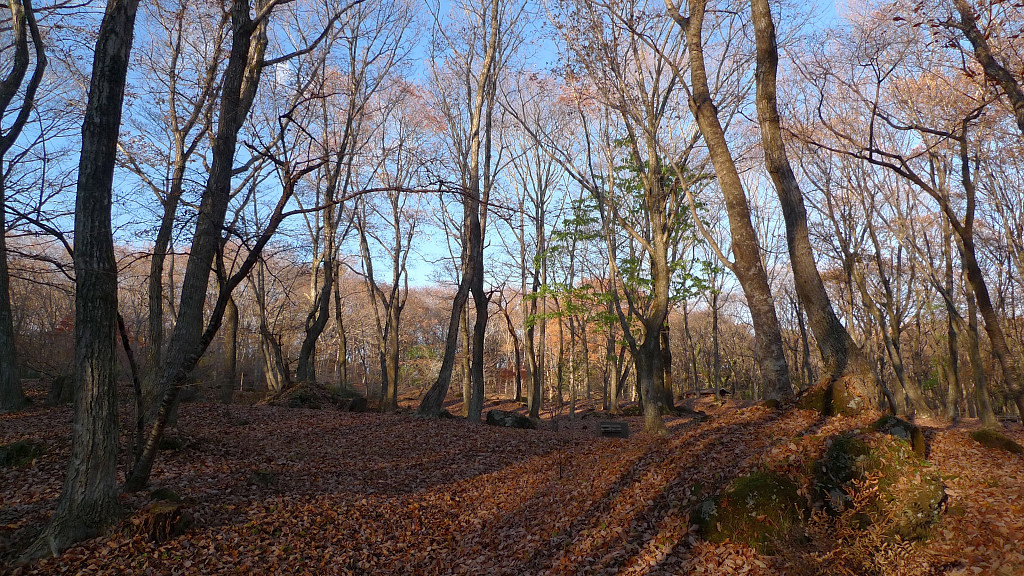 b0109942_6172664.jpg