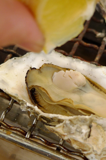 牡蠣食う女_b0016049_19393143.jpg