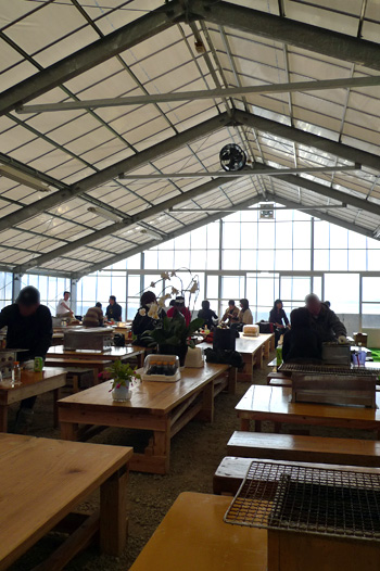 牡蠣食う女_b0016049_2085377.jpg