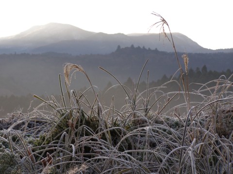 f0043750_21221393.jpg
