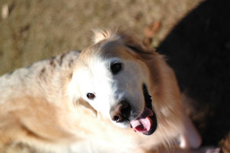 f0044853_0404422.jpg