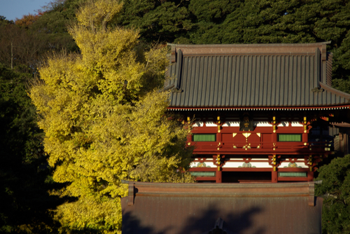 b0087456_10384329.jpg