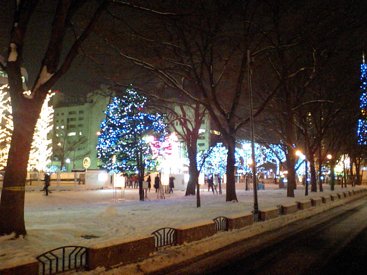 d0098665_17275275.jpg