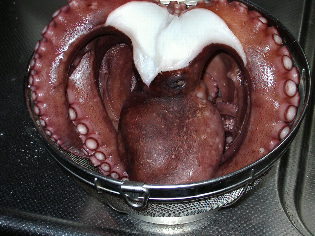 b0129167_9342140.jpg