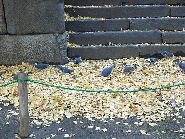 b0006870_21335150.jpg