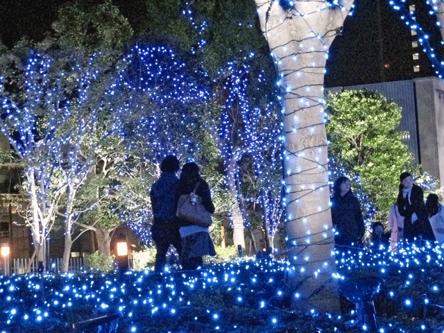 b0041473_1044847.gif