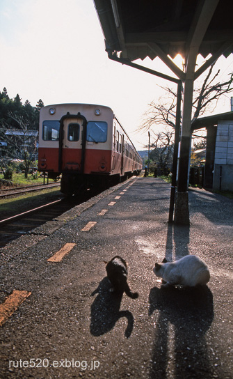 b0158087_18253891.jpg