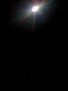 e0148989_4264723.jpg