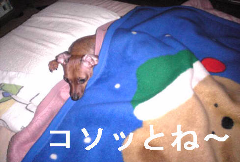 f0123589_2218877.jpg