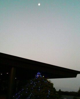 e0000295_1271464.jpg