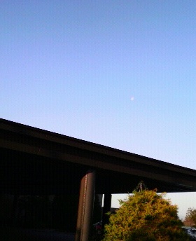 e0000295_1292277.jpg