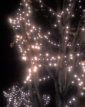 c0164401_1358511.jpg