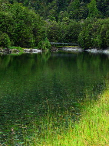 ＮＺ・・・世界一美しい散歩道_b0066502_19591489.jpg