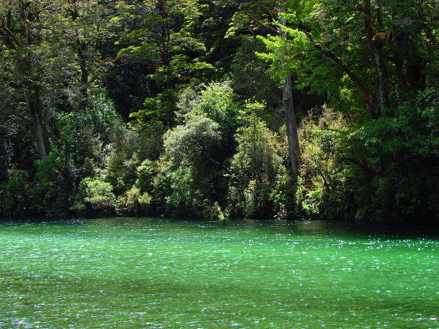 ＮＺ・・・世界一美しい散歩道_b0066502_20163173.jpg