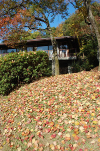 c0049902_2103746.jpg