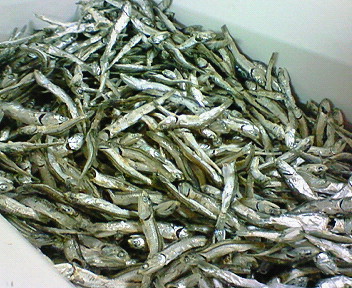 f0175403_211055100.jpg